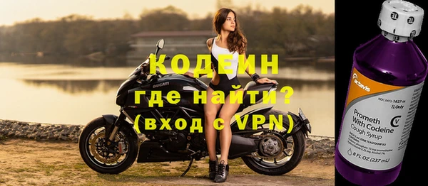 индика Инсар