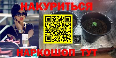 мдпв Краснознаменск