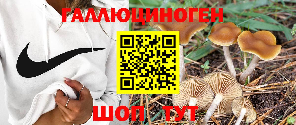 Псилоцибиновые грибы Magic Shrooms Заводоуковск